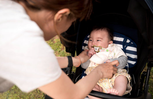 3 in 1 Stroller: A Smart Choice For New Parents