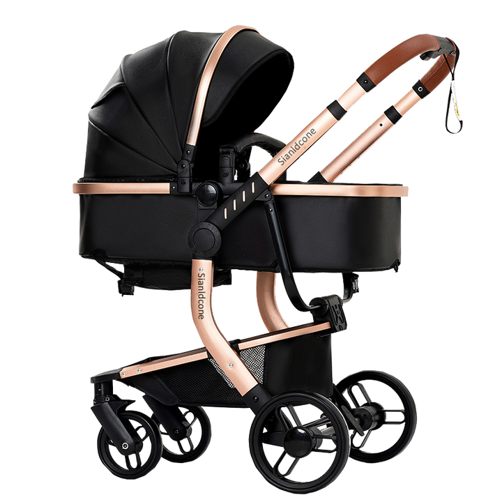 2 in 1 Toddler Stroller