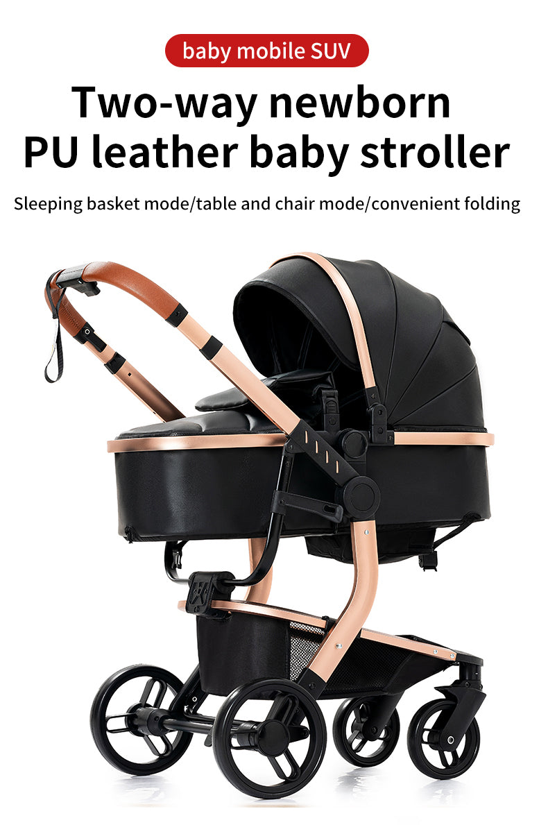 2 in 1 Toddler Stroller