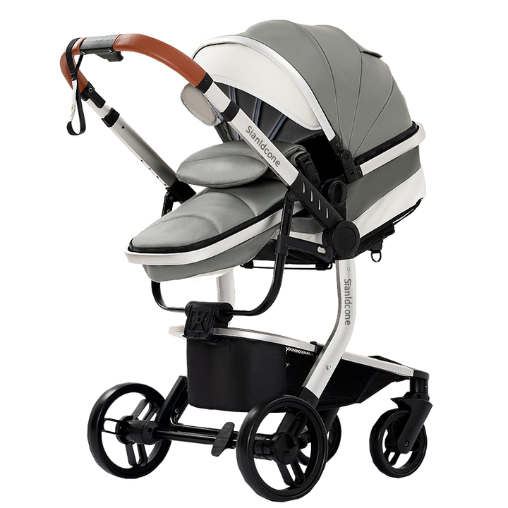 2 in 1 Toddler Stroller