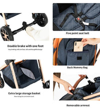 baby stroller details